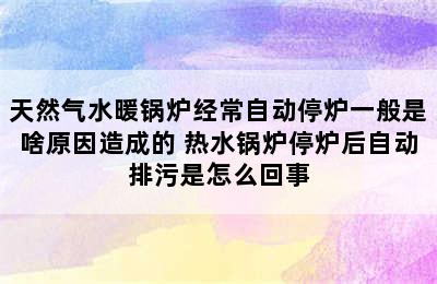 天然气水暖锅炉经常自动停炉一般是啥原因造成的 热水锅炉停炉后自动排污是怎么回事